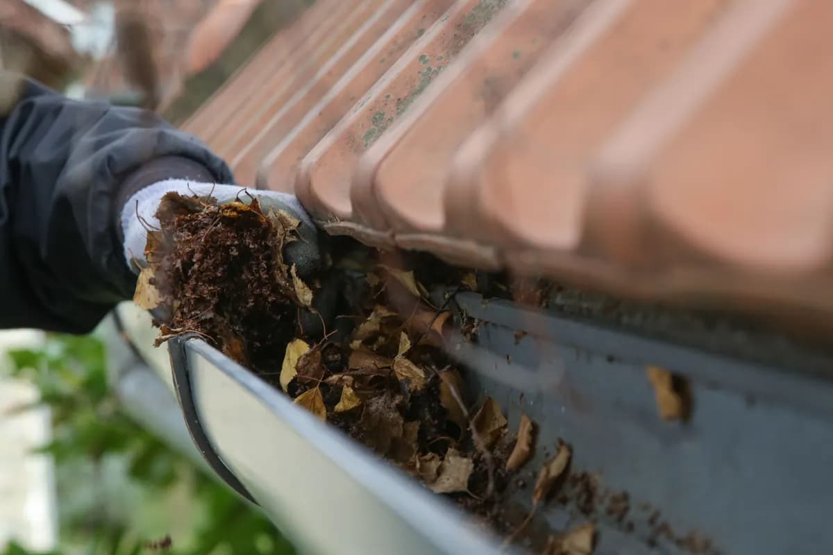 Clean gutters along a roofline