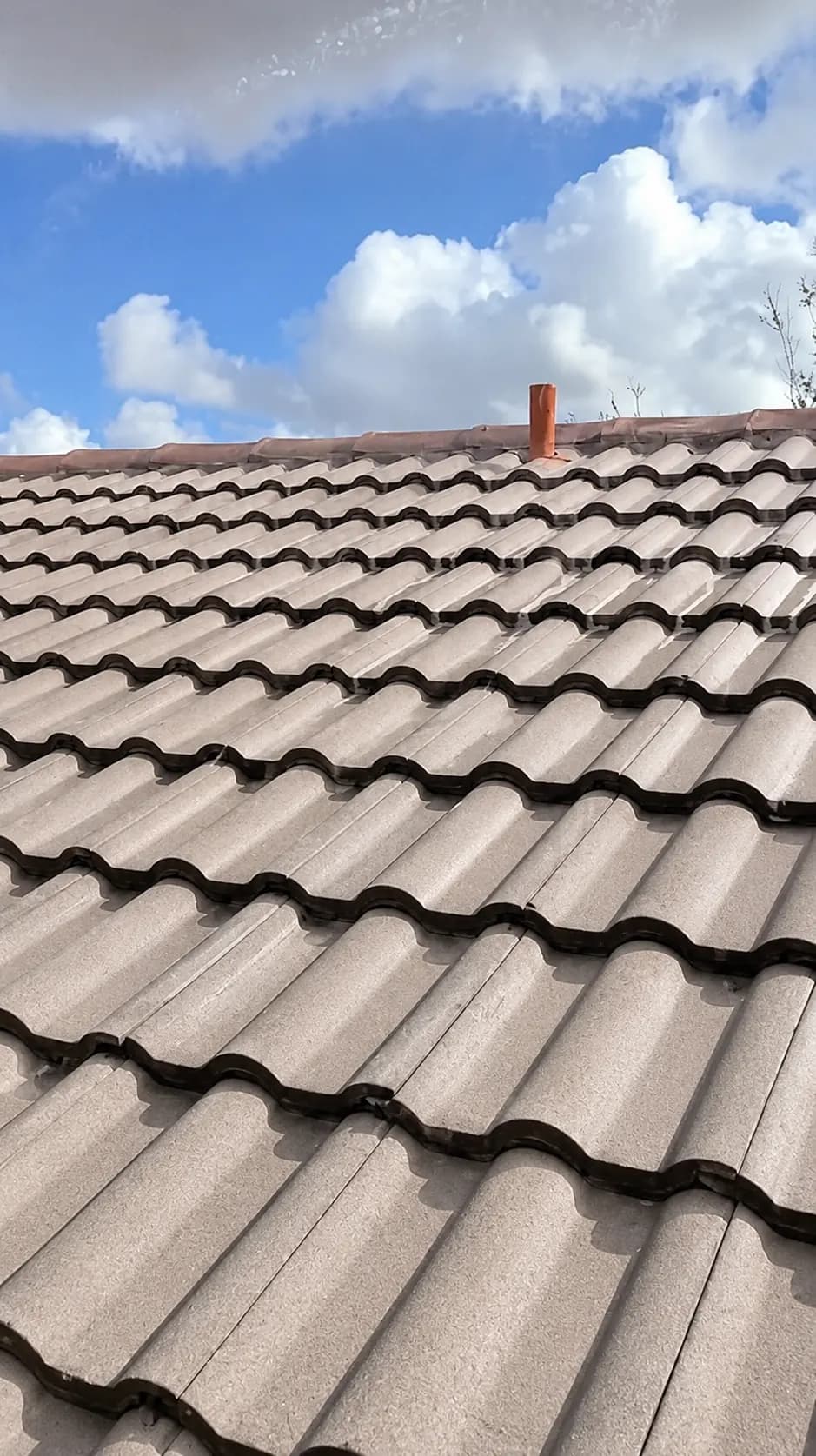 Roof cleaned of black streaks and algae