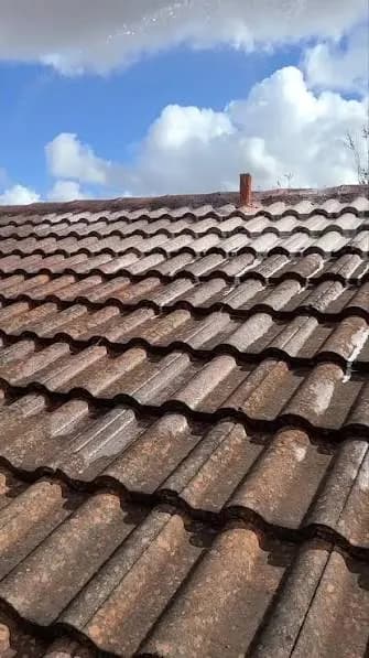 Roof Cleaning — before cleaning